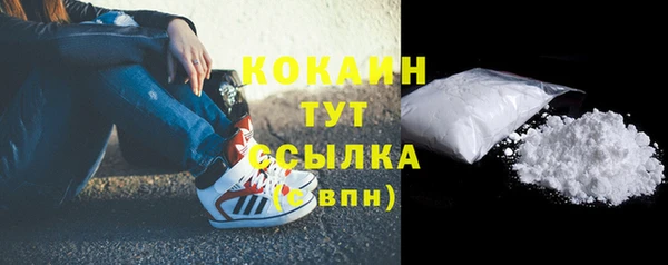 бошки Горняк