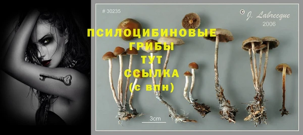 амф Горнозаводск