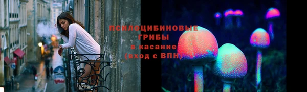 бошки Горняк