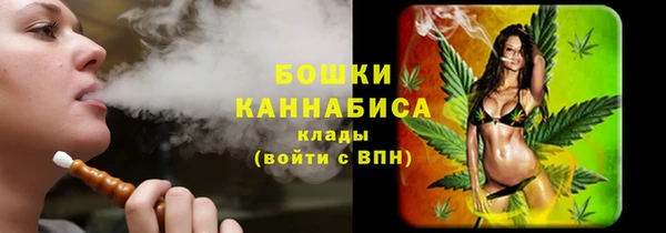 бошки Горняк