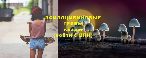 амф Горнозаводск
