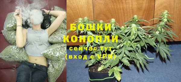 амф Горнозаводск