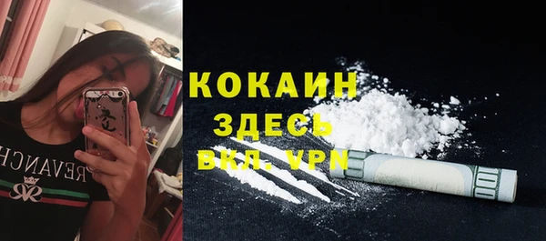 бошки Горняк