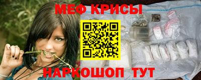 молекула духа Кингисепп
