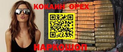 молекула духа Кингисепп