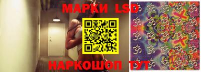 крисы Кинель