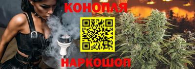 молекула духа Кингисепп