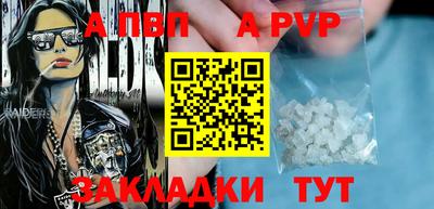 молекула духа Кингисепп