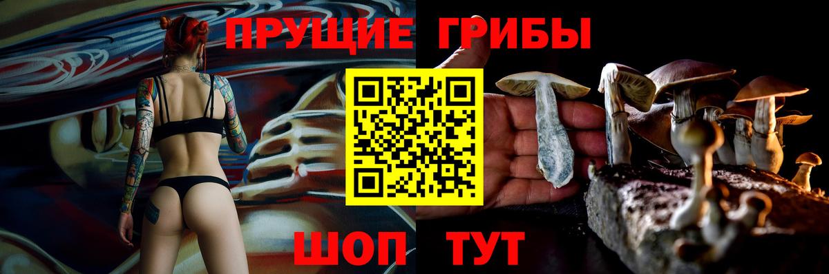 Галлюциногенные грибы Magic Shrooms Минеральные Воды